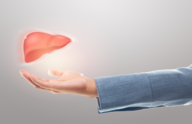 Glutathione for Liver Detox: Benefits & How It Works DripGym Glutathione for Liver Detox: Benefits & How It Works DripGym