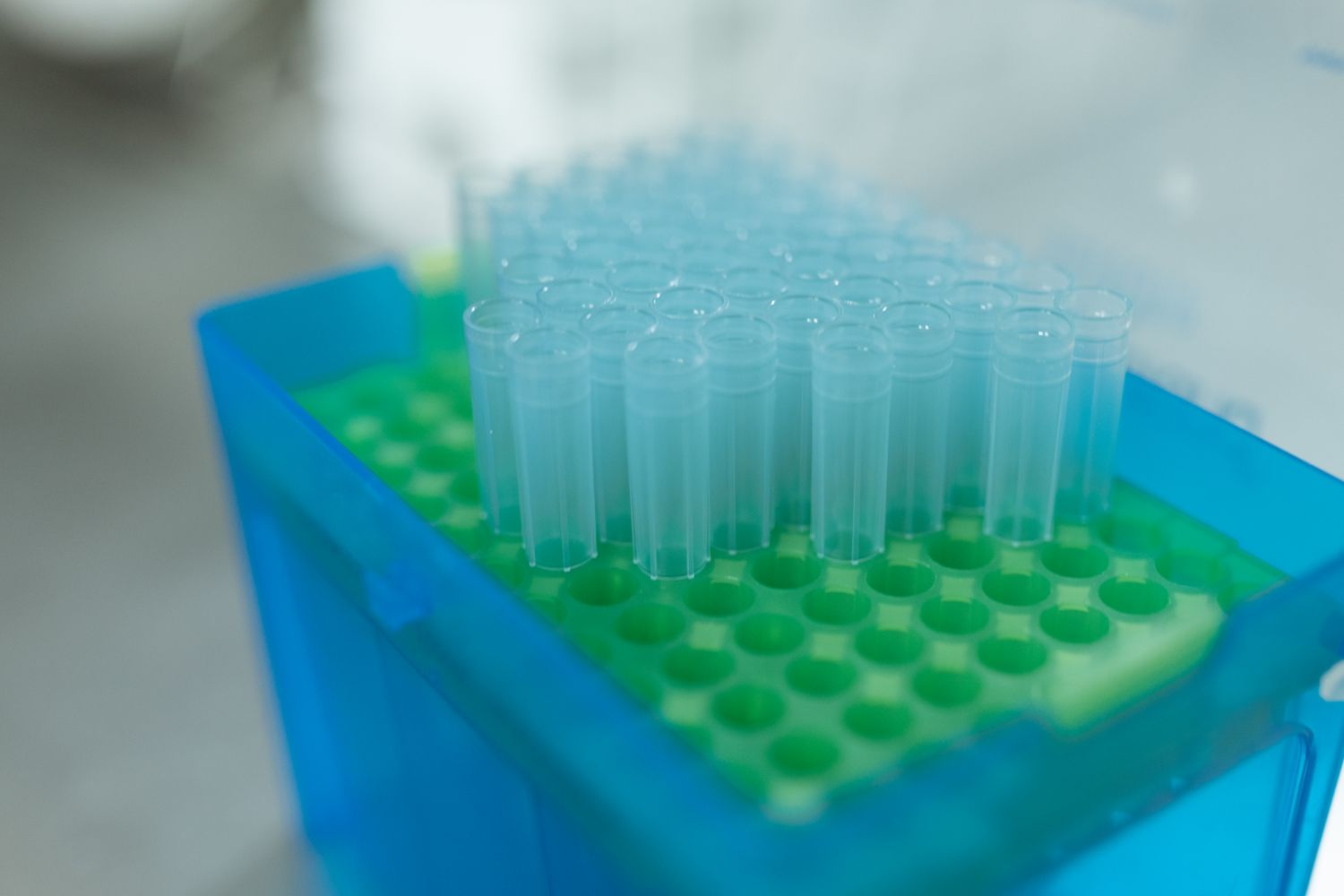 Real photograph of blood specimen tubes in a clinical laboratory
